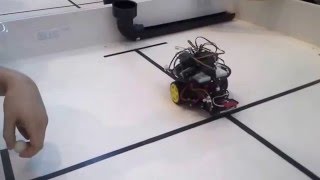 ELEC 299 Final Project - Ball collecting robot based of an Arduino