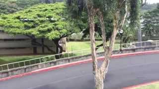 Condo in Waikalani Mililani 96789