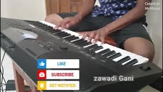 Zawadi gani Piano Reharmonization.