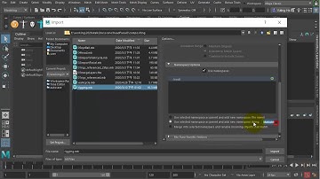 Time Editor - 01 Import Rigged Character with Namespaces