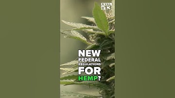 Hemp industry faces uncertainty with new federal regulations looming