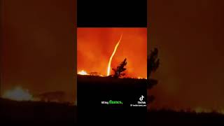 Firenado, AHHH IM IN FIRE!!!