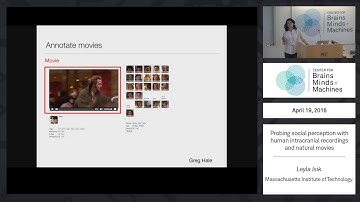 Probing social perception with human intracranial recordings and natural movies