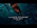 Luiarts studios  demo reel 2015