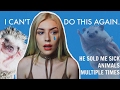 I NEVER WANT TO OWN HEDGEHOGS AGAIN. STORYTIME
