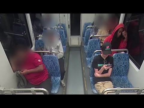 GRAPHIC: Video shows moments before, after deadly light rail stabbing in Charlotte