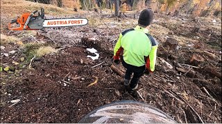 Immer wieder Morgens ein weiter Weg by Austria Forst 18,892 views 1 month ago 11 minutes, 43 seconds