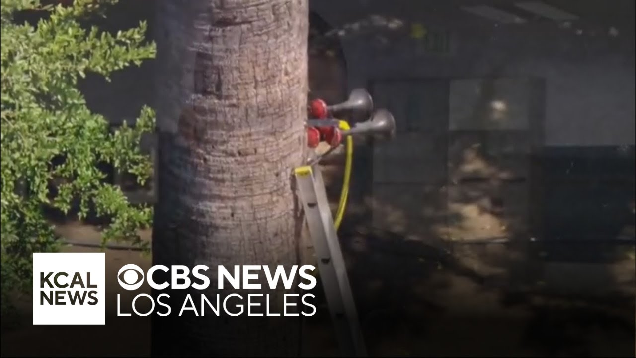 Van Nuys man blares train horn to get LAPD to pay attention to his concerns