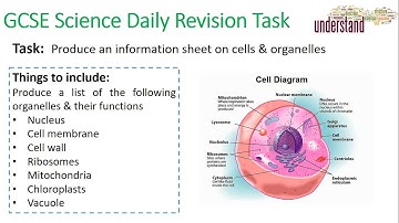 GCSE Science Daily Revision Task 1:  Cells