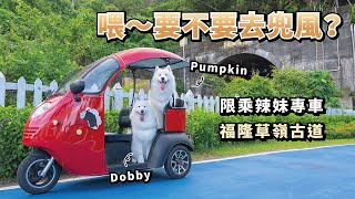 『喂要不要去兜風』限乘辣妹專車福隆草嶺古道(薩摩耶多比Dobby is free)