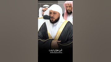 ماهر المعيقلي سورة الفجر . #ماهر_المعيقلي #قرآن #quran