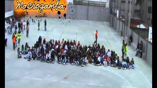 MACROGAMBA A NUESTRA MANERA
