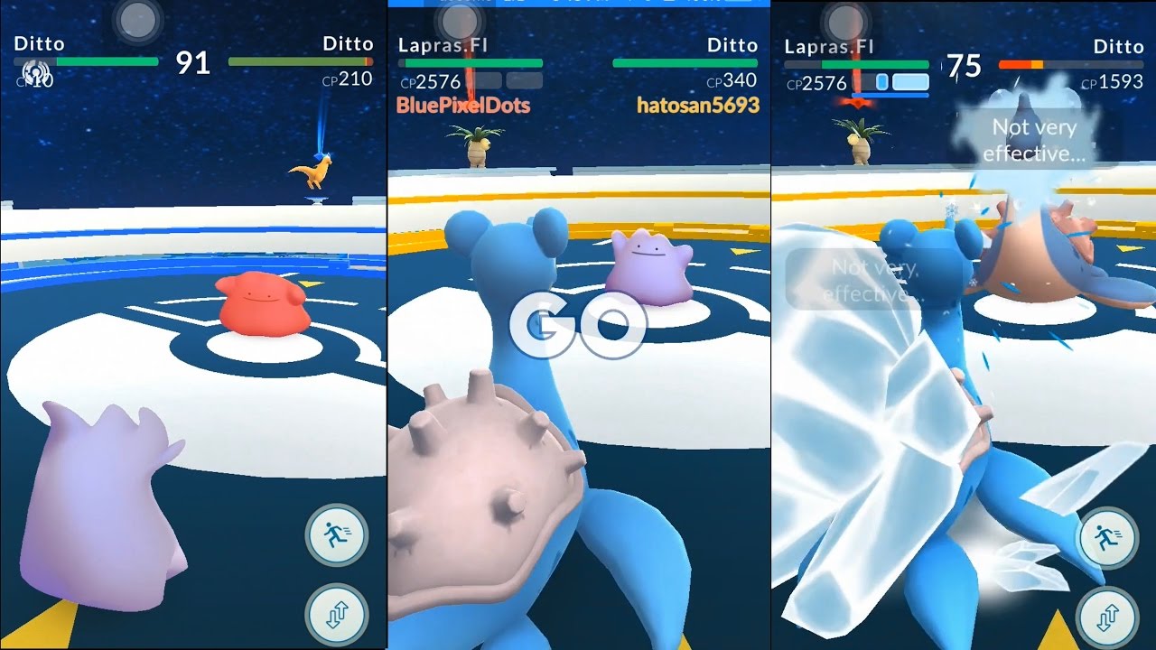 Pokemon Go Finding Ditto Ditto Gym Battles Lapras Vs Ditto Ditto Vs Lapras Youtube