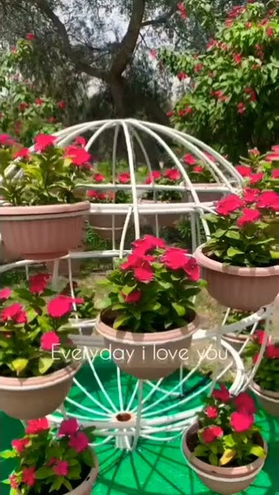 Everyday i love you,, WhatsApp status# English #love status ❤ short ❤❤❤❤❤❤❤❤❤❤