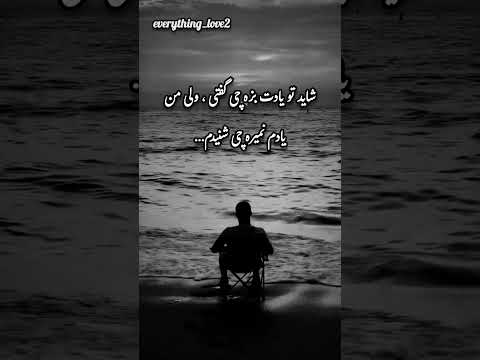 یادم نمیره نه حرفات نه رفتنت نه شکستن بی صدات یادم نمیره خاطره درد دل جدایی سکوت دلتنگی