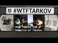 #WTFTARKOV 100 || Moments of Tarkov || Funny