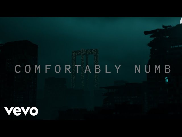ROGER WATERS - Comfortably numb