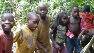 Download Lagu Molongo by Orchéstre Baka Gbiné MP3