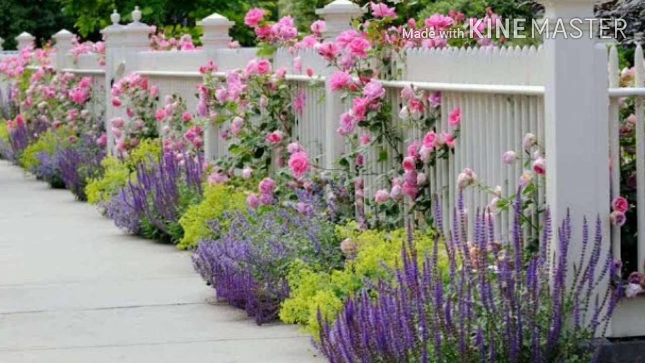 How To Design Front Yard Landscaping Ideas||Landscaping Ideas||Home