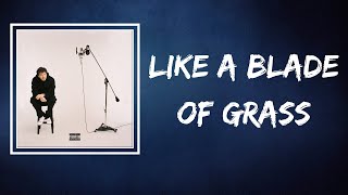 Jack Harlow - Like A Blade Of Grass (Lyrics)