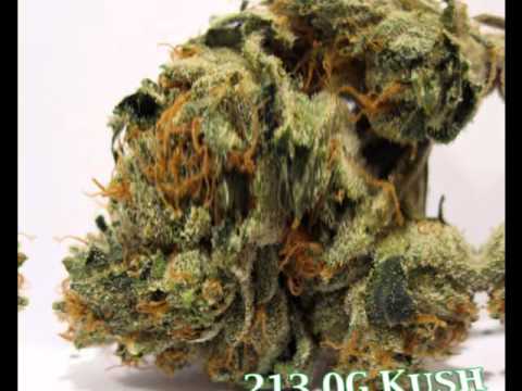 California Kush (420 Weed Song)