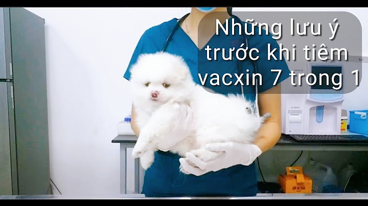 Vacxin 5 bệnh cho chó giá bao nhiêu năm 2024