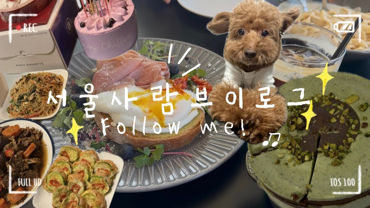 남들은 뭐하고 살까? 👀 서울·대구 일상 브이로그ㅣ애견카페 설곤약 이태원카페 추천