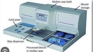 Tissue Embedding | Histopathology part 4