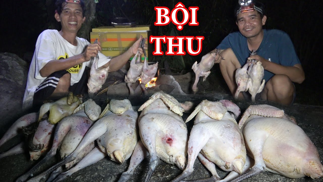 BẪY GÀ RỪNG BỘI THU, NGỦ RỪNG, SĂN ĐÊM, BUÔN CHAO - THỢ NÚI