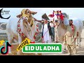 Tik Tok Eid Ul Adha Special | Tik Tok Trending Videos