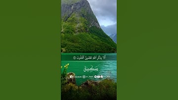 تلاوة خاشعة بصوت الشيخ محمد اللحيدان #محمد_اللحيدان #قرآن #ارح_سمعك#سكينة