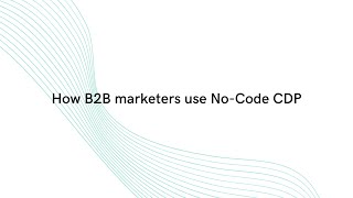 CDP for B2B Marketers