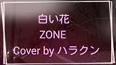 Zone 白い花 Youtube