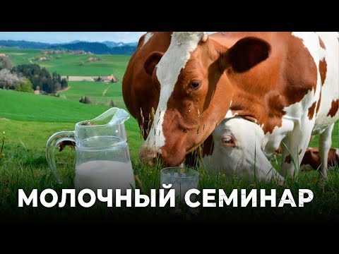 Видео: Профессиональные тайны: Что выявили на обучающем семинаре о коровьем здоровье?