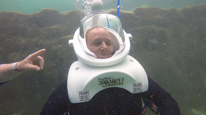 XCARET Stingray dive