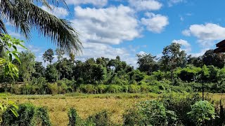 Download Lagu [FGO] Lilim Harlot / Imitation Grail War CQ - Void Shiki Solo MP3