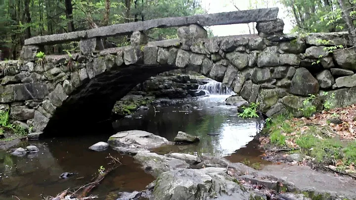 Vaughan Woods 2018