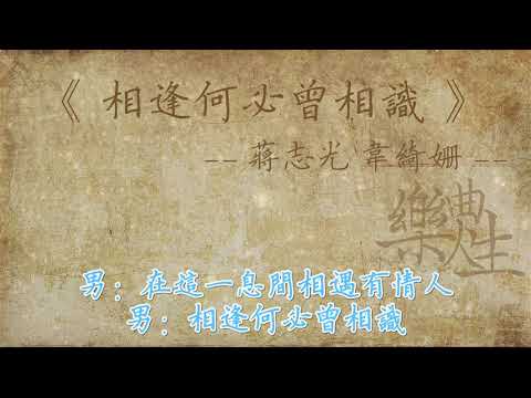 蒋志光 韦绮姗  相逢何必曾相识（原声歌词同步）