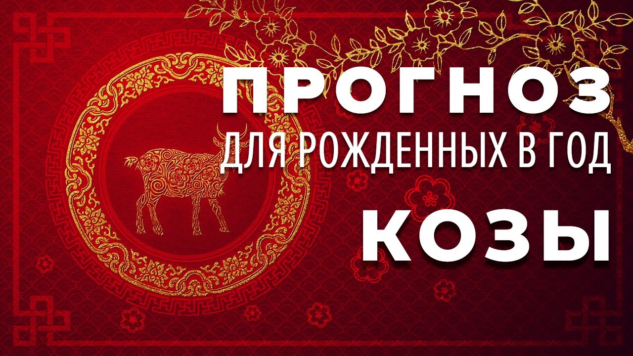 Пин от пользователя Полина на доске надо подумать Животные