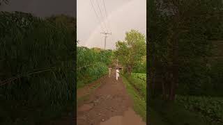 Rainbow  and tobacco lamd