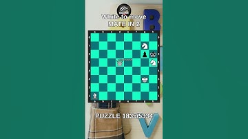 Chess puzzle series 🧩1835/5334 #chess #puzzle #learnchesstactics #magnuscarlsen #polgar #chessbooks