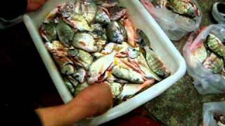 DSCN2208.AVI