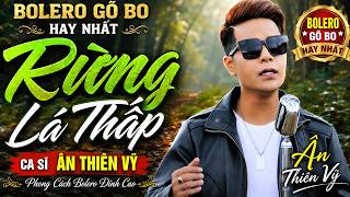 Rừng Lá Thấp Bolero Đường Phố Hay Nhất – Ca Sĩ Ân Thiên Vỹ Cất Giọng Gây Thương Nhớ