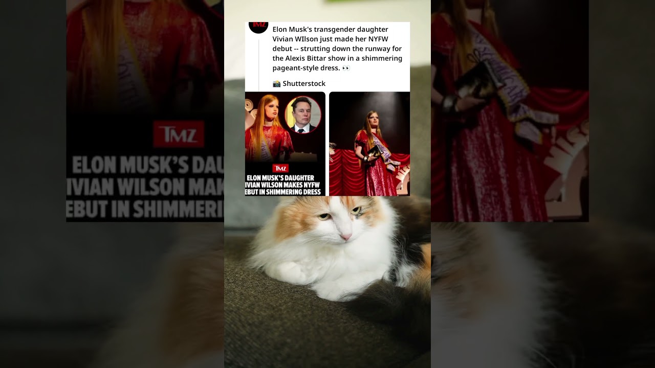 Elon Musk’s transgender daughter Vivian Wilson stuns in sparkling NYFW debut "