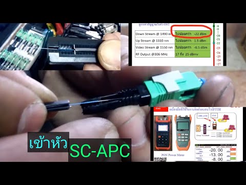 วิธีการเข้าหัวสายไฟเบอร์ SC-APC