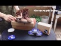 TARRAGO Mink Oil on leather boots (亮光貂油)