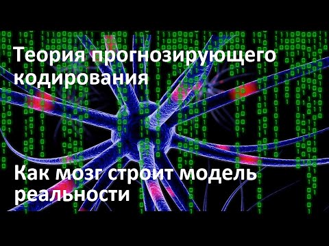 Теория прогнозирующего кодирования | Как мозг строит модель реальности | Иллюзия объективности