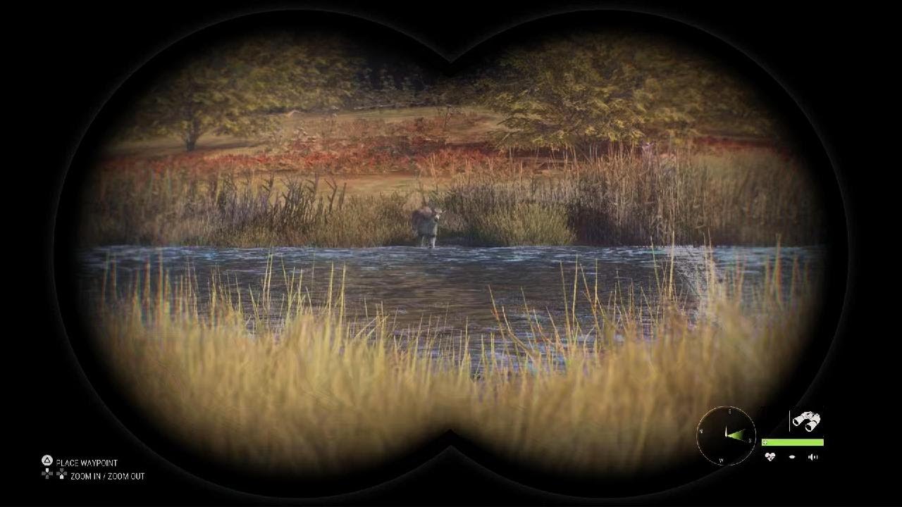Whitetail deer clean shot and harvest.