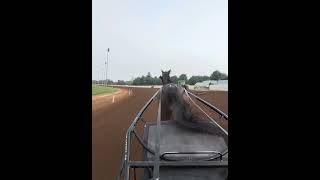 Commentary--Bella dayle Jly 27th 2026