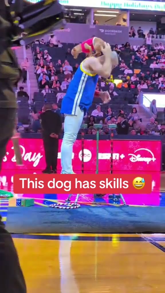 Scooby is TALENTED ?